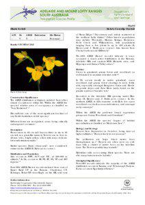 Flora of New South Wales / Flora of the Australian Capital Territory / Diuris / Mount Lofty Ranges / Mount Lofty / Adelaide / Lofty / States and territories of Australia / Geography of Australia / Geography of South Australia