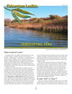 LEAFLET 17  DEMYSTIFYING FENS South Shore Fen, 2008. Photo by Brandon Helm  What is and isn’t a fen?