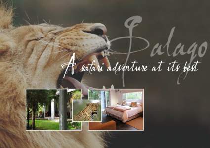 G alago A safari adventure at its best Galago