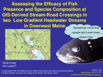 Assessing the Efficacy of Fish Presence and Species Composition at GIS-Derived Stream-Road Crossings in two Low Gradient Headwater Streams in Downeast Maine Sometimes I think that