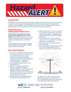 Incident Alert While clearing brush and trees from a power line right of way, a worker cut down a tree causing it to fall onto an energized overhead power line. When the power line fell to the ground, an electrical curre