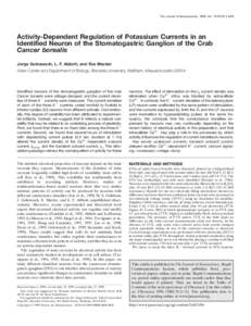 The Journal of Neuroscience, 1999, Vol. 19 RC33 1 of 5  Activity-Dependent Regulation of Potassium Currents in an Identified Neuron of the Stomatogastric Ganglion of the Crab Cancer borealis Jorge Golowasch, L. F. Abbott