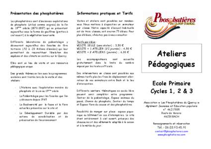 Plaquettes péda primaire