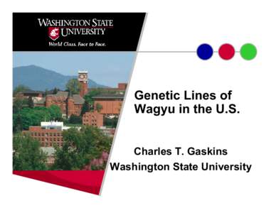 Microsoft PowerPoint - Genetic Lines of Wagyu in the US02.ppt
