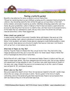 Planting a butterfly garden!  Recently a boy asked me for advice on plants to attract butterflies. This got me ruminating about my own childhood, growing up with a somewhat fanatical butterfly collector. Any interesting 