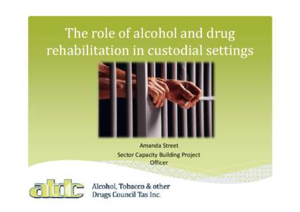 The role of alcohol and drug rehabilitation in custodial settings Amanda Street Sector Capacity Building Project Officer