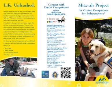 Assistance dogs / Canine Companions for Independence