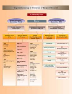 Organization set-up of Directorate of Sorghum Research  ICAR Headquarters Research Advisory Committee (RAC)