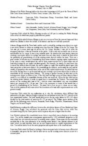 Public Hearing / Regular Town Board Meeting Tuesday, July 14, 2009 Minutes of the Public Hearing held on the above date beginning at 6:45 pm at the Town of North Elba Town House located at 193 River Street, Saranac Lake,