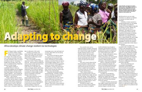 R. Raman, AfricaRiceLeft) AfricaRice investigates the climateresilient traits of the indigenous African rice, Oryza glaberrima. (Right) Most of the rice farmers in sub-Saharan Africa are women. Through participato