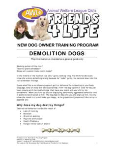 Mutts with Manners Handout: Demolition dogs