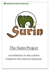 ELEPHANT NATURE FOUNDATION  The Surin Project AN OVERVIEW OF THE CAPTIVE ELEPHANT SITUATION IN THAILAND