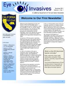 Section 1: Welcome to our First Newsletter