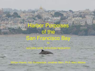 Harbor Porpoises of the San Francisco Bay by GOLDEN GATE CETACEAN RESEARCH