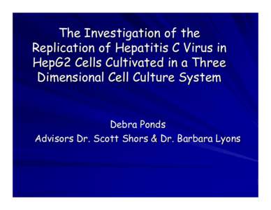 The Investigation of the Replication of Hepatitis C Virus in HepG2 Cells Cultivated in a Three Dimensional Cell Culture System