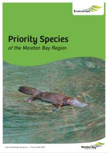 Priority Species of the Moreton Bay Region