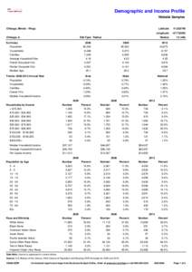 Demographic and Income Profile - dandi