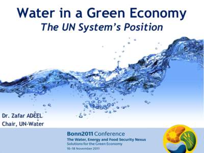 Water in a Green Economy The UN System’s Position Dr. Zafar ADEEL Chair, UN-Water Slide 1