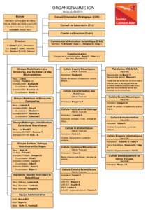 ORGANIGRAMME ICA Version duBureau  Conseil Orientation Stratégique (COS)