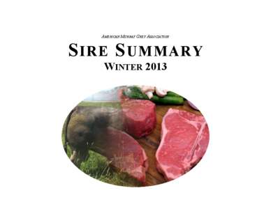 AMERICAN MURRAY GREY ASSOCIATION  S IRE S UMMARY WINTER 2013  INTRODUCTION –