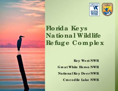 Florida Keys National Wildlife Refuge Complex Key West NWR Great White Heron NWR National Key Deer NWR