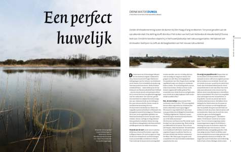 + Tekst Hans van de Veen + Fotografie Mischa Keijser  Zonder drinkwaterwinning waren de duinen bij Den Haag al lang verdwenen. Ten prooi gevallen aan de oprukkende stad. Die stelling durft directeur Piet Jonker van het Z