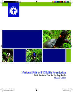 Ecology / Bog turtle / Bog / Endangered Species Act / Clemmys / Conservation biology / Wetland / Wildlife / Missisquoi National Wildlife Refuge / Glyptemys / Biology / Environment