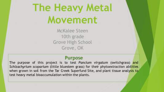 The Heavy Metal Movement McKalee Steen 10th grade Grove High School Grove, OK