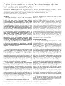 Original spotted patterns on Middle Devonian phacopid trilobites from western and central New York Christopher A. McRoberts1*, Thomas A. Hegna2*, Jeri J. Burke1, Morgan L. Stice2, Steven K. Mize1, and Markus J. Martin3 1