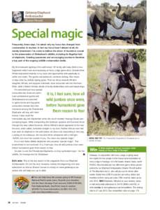 Getaway Elephant Ambassador Sharon Pincott Special magic Frequently, these days, I’m asked why my focus has changed from