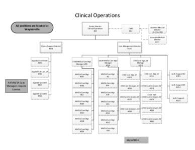 Visio-Clinical Operations.vsd