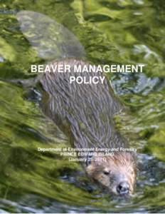 Microsoft Word - BEAVER POLICY[removed]January..DOC