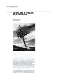 Lorraine O’Grady: New Worlds | Shelley Rice