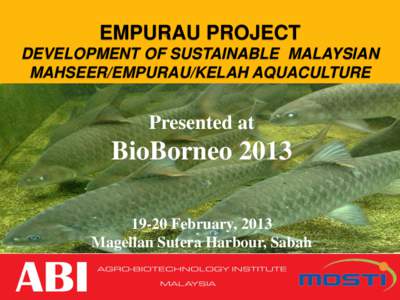 EMPURAU PROJECT DEVELOPMENT OF SUSTAINABLE MALAYSIAN MAHSEER/EMPURAU/KELAH AQUACULTURE Presented at