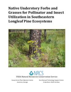 Native Understory Forbs and Grasses for Pollinator and Insect Utilization in Southeastern Longleaf Pine Ecosystems  USDA Natural Resources Conservation Service
