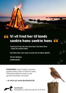 Vi vil fred her til lands sankte hans sankte hans Tænk på de dyr, der kan have boet i det tørre kvas – inden du tænder bålet. Flyt bålet eller vent med at samle det til sidste øjeblik. Tak for hjælpen