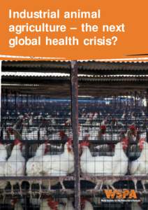 Industrial animal agriculture – the next global health crisis? Industrial animal agriculture – the next global health crisis?