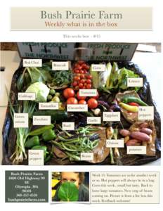 Bush Prairie Farm Weekly what is in the box This weeks box - #15 Bok Choi