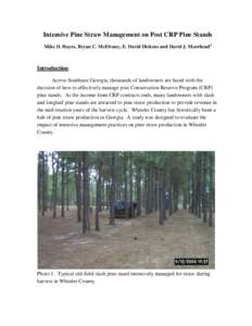 Intensive Pine Straw Management on Post CRP Pine Stands Mike D. Hayes, Bryan C. McElvany, E. David Dickens and David J. Moorhead1 Introduction Across Southeast Georgia, thousands of landowners are faced with the decision