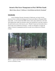 Agroecology / Conservation Reserve Program / Conservation in the United States / Federal assistance in the United States / Sustainable agriculture / United States Department of Agriculture / Pinus palustris / Pine / Basal area / Flora of the United States / Environment / Land management