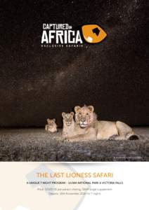 © Burrard-Lucas.com  THE LAST LIONESS SAFARI A UNIQUE 7 NIGHT PROGRAM - LIUWA NATIONAL PARK & VICTORIA FALLS Price: $7,per person sharing, $800 single supplement Departs: 18th November 2016 for 7 nights