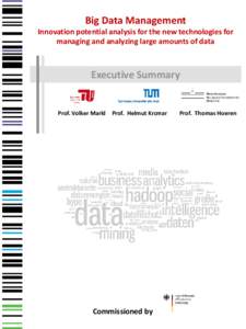 Big Data Management Innovation potential analysis for the new technologies for managing and analyzing large amounts of data Executive Summary