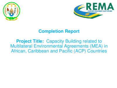 Completion Report Project Title: Capacity Building related to Multilateral Environmental Agreements (MEA) in African, Caribbean and Pacific (ACP) Countries  Content