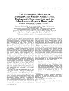 THE ANATOMICAL RECORD 294:1783–The Anthropoid-Like Face of Siamopithecus: Cherry Picking Trees, Phylogenetic Corroboration, and the Adapiform–Anthropoid Hypothesis