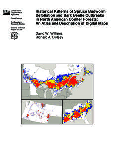 Spruce Budworm / Phyla / Protostome / Agriculture / Gypsy moths in the United States / Taiga / Bark beetle / Mountain pine beetle / Dendroctonus / Curculionidae / Woodboring beetles / Archipini