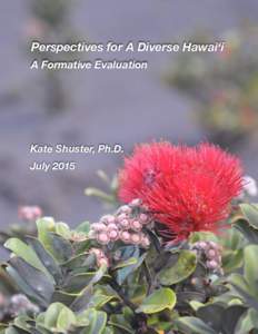 Perspectives for A Diverse Hawai‘i A Formative Evaluation Kate Shuster, Ph.D. July 2015