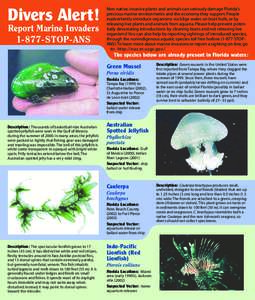 Divers Alert! Report Marine Invaders[removed]STOP-ANS Non-native, invasive plants and animals can seriously damage Florida’s precious marine environments and the economy they support. People