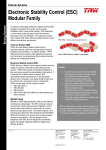 Chassis Systems  Braking Systems Electronic Stability Control (ESC) Modular Family