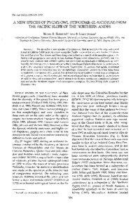 TheAuk 116(2):[removed], 1999  A NEW SPECIESOF PYGMY-OWL (STRIGIDAE: GLAUCIDIUM) FROM