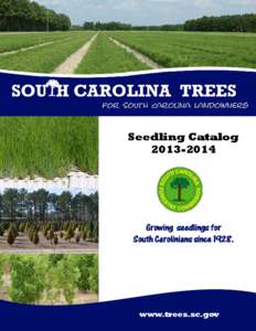 Seedling Catalog[removed]Growing seedlings for South Carolinians since 1928.